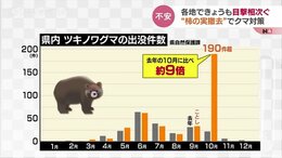 「もう少しでおいしい状態だったのに」急増するクマ出没で住民たちが柿の実の撤去急ぐ　富山　|TBS NEWS DIG
