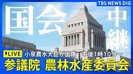 【国会LIVE】参議院・農林水産委員会 小泉進次郎大臣出席(2025年6月10日 午後1時10分~)|TBS NEWS DIG