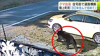 のそのそと…防犯カメラが捉えた体長約1.5ｍの太ったクマ　約40秒後には学生が通行…　町民「30年住んで初めて」　市街地付近で越冬の“アーバンベア”であると専門家　大型連休明けからさらに警戒必要か　|　青森のニュース│ATV NEWS│青森テレビ