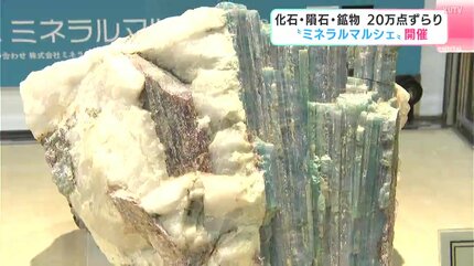 特大 巨大 原石 鉱物 クオーツ 水晶 天然石 クリスタル ミネラルマルシェ 特大 巨大 原石 鉱物 クオーツ 水晶 天然石 クリスタル ミネラル