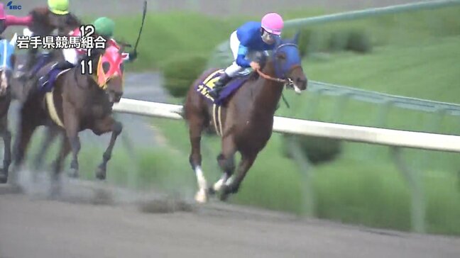 昨季JpnⅡに格上げの交流重賞「不来方賞」1番人気のナルカミが逃げ切り優勝 盛岡市|TBS NEWS DIG