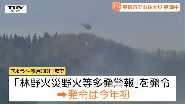 東根市で山林火災発生 宮城県と岩手県の防災ヘリなどが出動し消火活動 県は「林野火災野火等多発警報」発令(山形)|TBS NEWS DIG