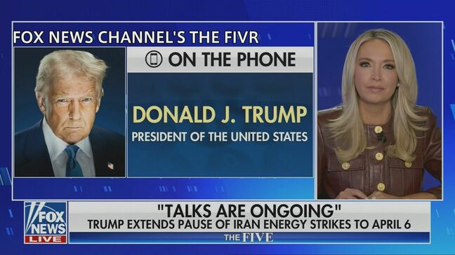 トランプ大統領「イランは7日間を求めたが10日を与えた」　発電所などへの攻撃までの猶予期間をさらに延長|TBS NEWS DIG