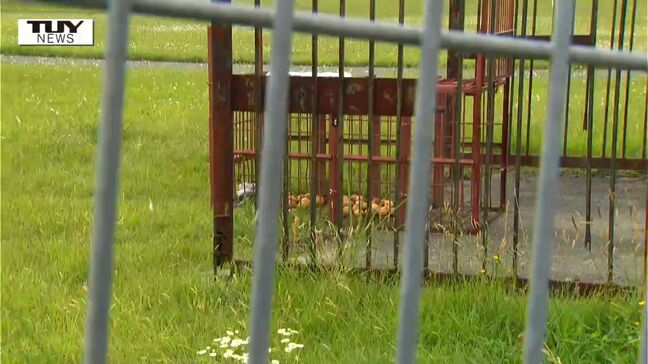 山形空港に出没のクマ きょうも捕獲には至らず クマを刺激しないことを優先|TBS NEWS DIG