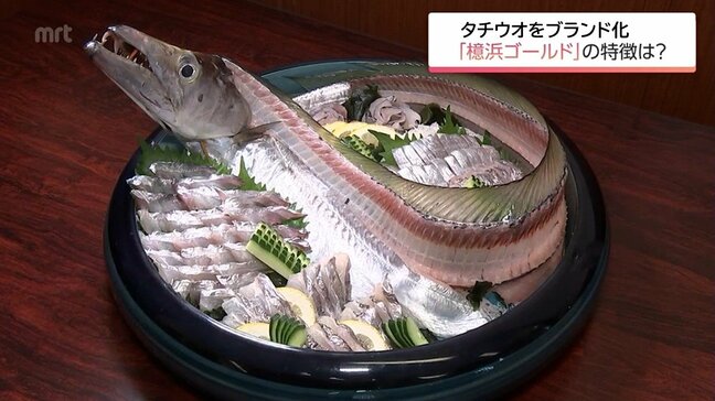 宮崎市で水揚げ 最高品質のテンジクタチウオをブランド化 「檍浜ゴールド」とは|TBS NEWS DIG