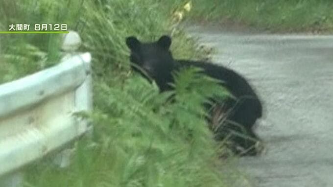 「鳥獣被害の対策強化に」新たに「協議会」設立で『猟友会』出動時に国に補助金の申請が可能に　捕獲体制を強化　青森県東北町　|　青森のニュース│ATV NEWS│青森テレビ