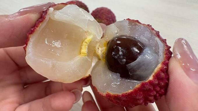 国産流通わずか1％ほどの「生ライチ」　長崎で3年越しの初収穫　半導体会社創業者が長崎で育てる果実|TBS NEWS DIG