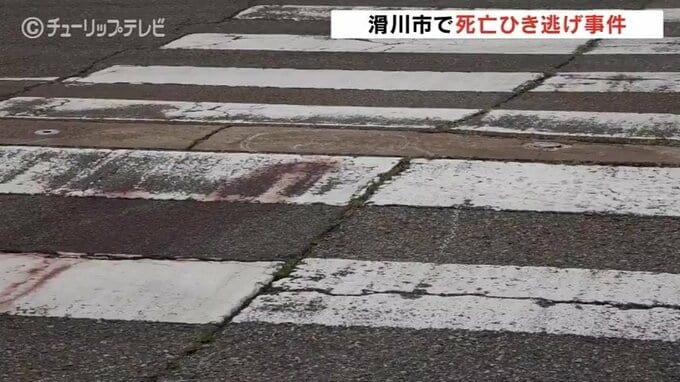 富山・滑川市でひき逃げ事件　７０代男性死亡　飲酒した状態で寝ていたか　|TBS NEWS DIG