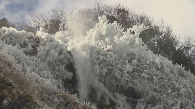 最強寒波 氷点下で「巻き上げられた水しぶきが樹木に凍り付く」垂水の滝　|　石川県のニュース｜MRO北陸放送