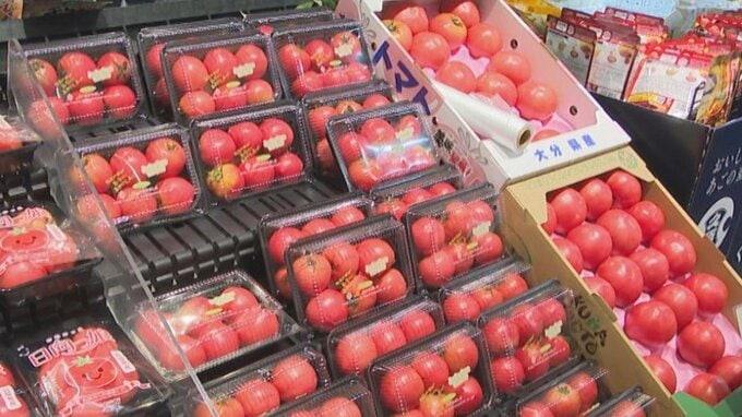 トマトは“高嶺” レタスは約3倍…野菜の価格高騰　猛暑の影響で大量廃棄、農家悲鳴　|　大分のニュース｜OBS NEWS｜大分放送