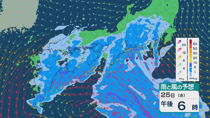 「菜種梅雨」の空模様 25日(水)は九州から関東にかけて雨の降る天気に 九州や四国は雨脚強まるところも 雨と風シミュレーション|TBS NEWS DIG