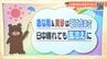 28日（金）明け方まで急な雨に注意 日中晴れても風冷えに【愛媛】　|　愛媛のニュース - Nスタえひめ｜あいテレビは6チャンネル