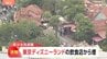 【速報】東京ディズニーランドの施設で「客の荷物から煙が出ている」と119番通報　全員避難済みでけが人確認なし|TBS NEWS DIG