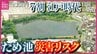 江戸時代以前の築造が約7割「どんどん水が溜まり氾濫が心配」　全国最多6585の危険ため池が迫られる「未来への決断」広島　|　RCC NEWS | 広島ニュース | RCC中国放送