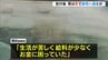 「給料少なく金に困っていた」89歳女性を暴行しカバン奪った疑いの男…犯行後は車で自宅へ逃走か　大阪・河内長野市　|　MBSニュース | 関西の最新ニュースを分かりやすく。