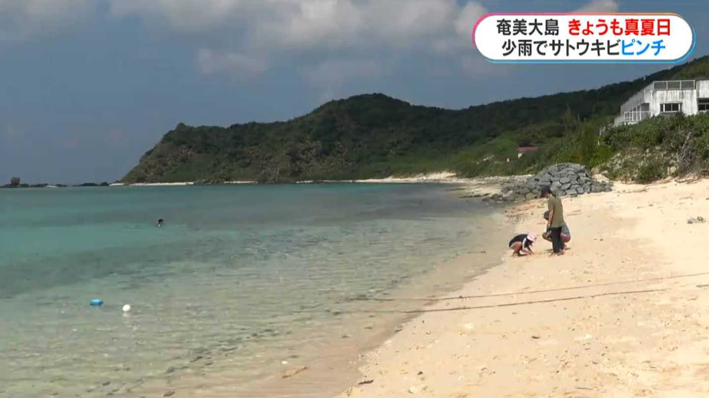奄美はきょう15日も真夏日「暑いですね、普通に夏」少雨も重なり
