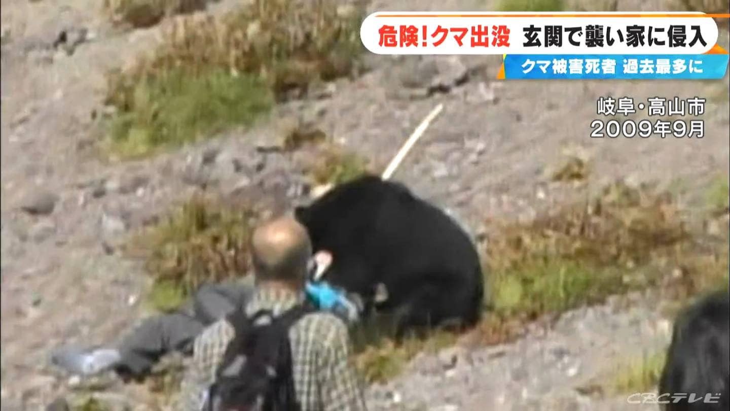 クマが観光客を襲う9人重軽傷の惨事 ジョギング中の男性が襲われたこと