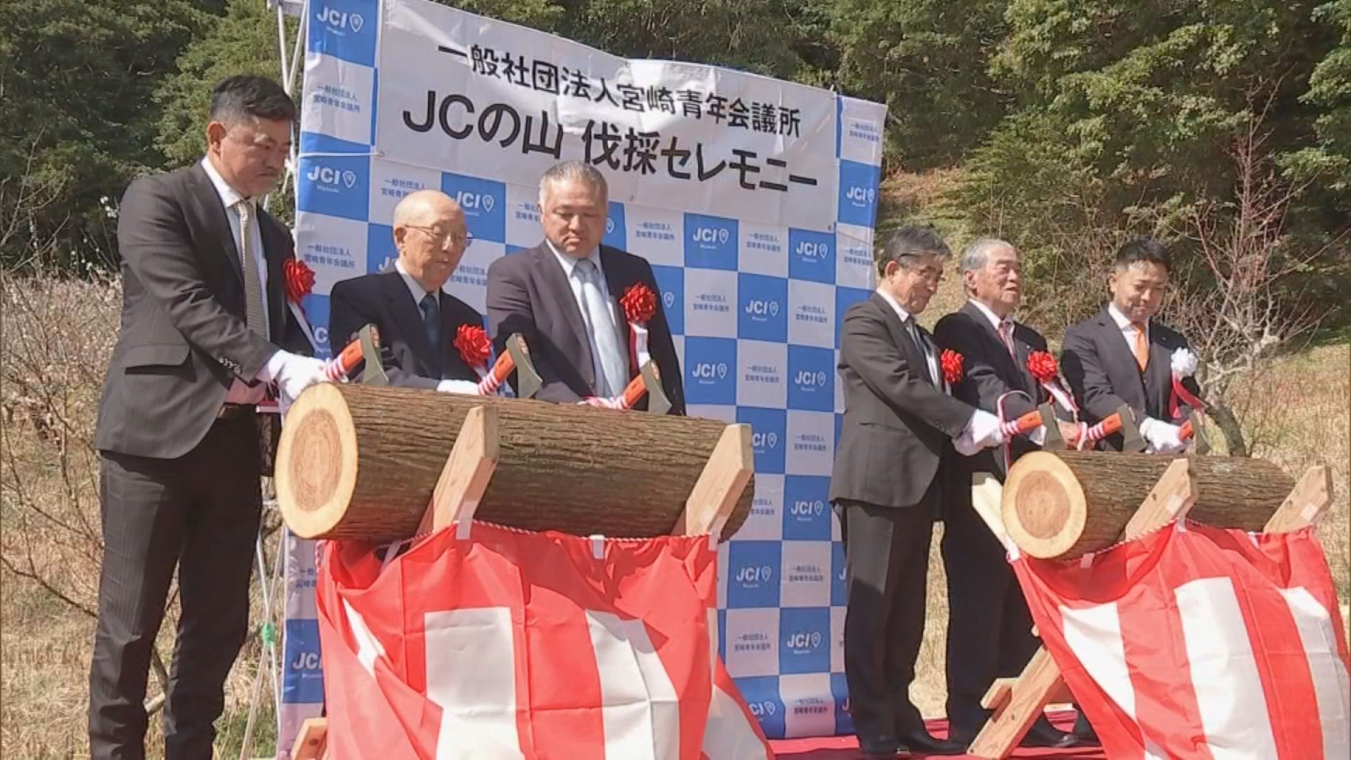 スギ売却益で子どもたちの夢を叶える事業費に 「JCの山」伐採前に