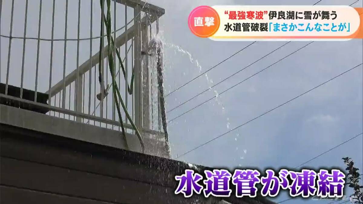 img_615fdb9f82db4cea397758a59e