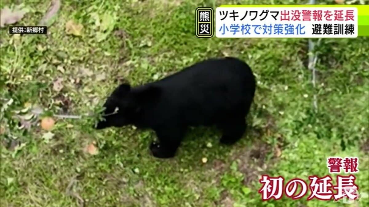 異例の対応 青森県が『ツキノワグマ出没警報』の期間延長 「11月末まで