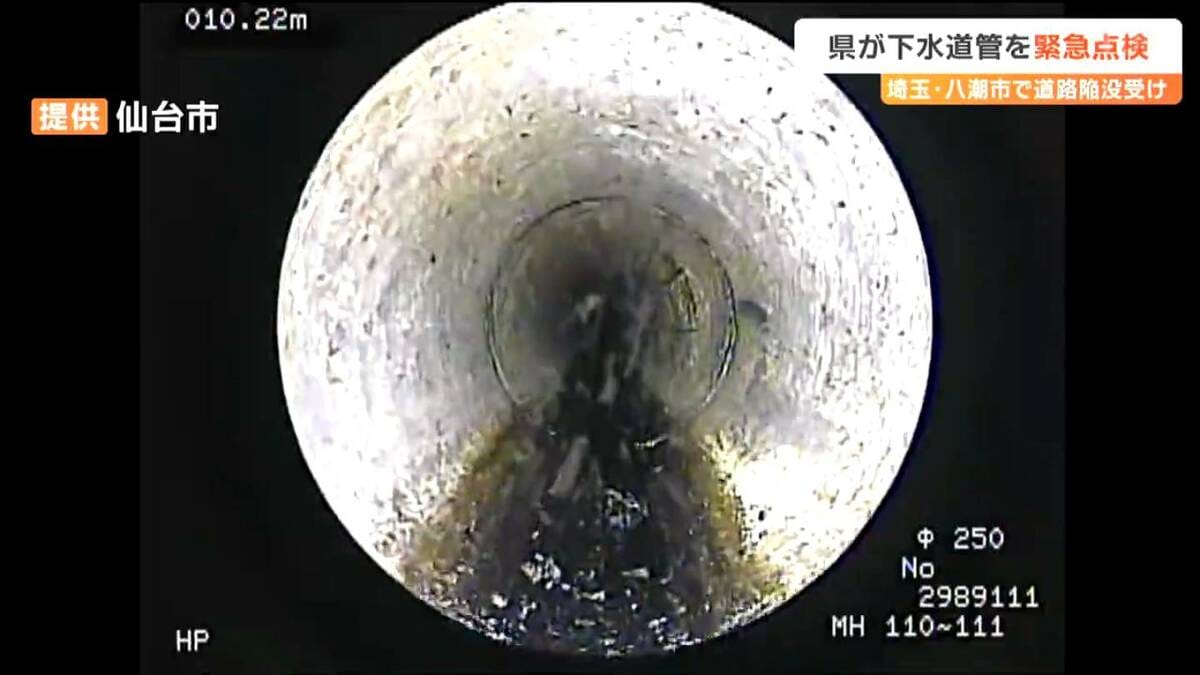 玉堂清署（汚損品）10点組 CU－205 清秀本体（N） | 製品詳細 | シーピー化成株式会社