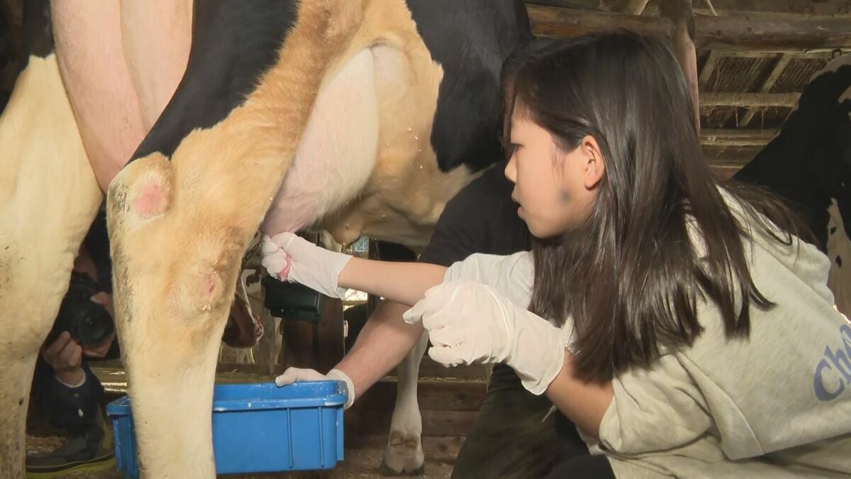 酪農体験イベント　春休みの親子が牛乳のできる仕組みを学ぶ　大分