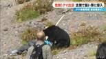 クマが観光客を襲う9人重軽傷の惨事 ジョギング中の男性が襲われたことも 東海地方の「クマ被害」過去にも|TBS NEWS DIG