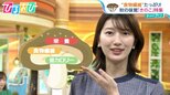 「ブラウンえのき」ってどう使う?“生のまま”冷凍で旨みアップ!新鮮なきのこの選び方&保存方法【ひるおび】|TBS NEWS DIG