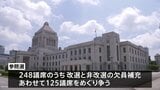 参議院選挙きょう投開票、最大の焦点は与党が過半数維持出来るか 期日前投票は過去最多に|TBS NEWS DIG