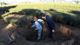 「炭にすれば100年ぐらいCO2を閉じ込められる」増加続ける荒れた茶園が切り札に!【SDGs】 | 静岡のニュース | SBSNEWS | 静岡放送