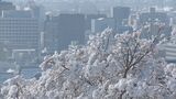 2~3月は「想定上回る」除雪費 長野市が除雪費用4億6,000万円を専決処分|TBS NEWS DIG