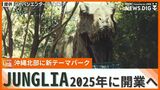 2025年に開業、沖縄北部の新テーマパーク「ジャングリア」 本物の生身で感じるリアルな体験を | 沖縄のニュース|RBC 琉球放送