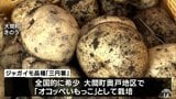 「オコッペいもっこ」さらなるブランド化目指して取り組む弘前大学の学生が種芋の収穫体験 青森県大間町|TBS NEWS DIG