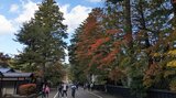 角館・武家屋敷通りの紅葉見ごろ 秋田・仙北市|TBS NEWS DIG
