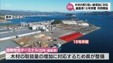 木材の取扱量の増加に対応　日向市細島港の国際物流ターミナルの16号岸壁が供用開始|TBS NEWS DIG