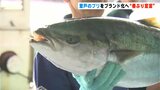 初物の水揚げ好調！脂が乗った室戸のブリをPR　初めての「春ぶり宣言」【高知・室戸市】|TBS NEWS DIG