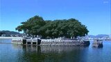 「もっといろんな人が参加してくれると…」ゆかりの地“丸山台”で勉強会 自由民権150年 偉人たちに思いを馳せ | 高知のニュース・天気|KUTV NEWS | KUTVテレビ高知
