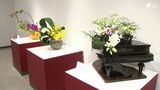 「ほんとに力作ばかリ」静岡県下最大規模の華道展始まる 26流派、約300点展示=浜松市中央区 | 静岡のニュース | SBSNEWS | 静岡放送