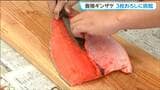 水揚げされた地元産"ギンザケ"で調理実習 中学生が3枚おろしから3品を完成させる 宮城・石巻市|TBS NEWS DIG