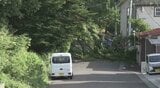「家の向かいの木が倒れた」高さ約10mのサクラの木が倒れ市道塞ぐ 付近の住宅の塀にも被害 けが人なし 仙台市|TBS NEWS DIG