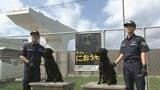 「オイっ、におうぞ!」最前線で活躍する麻薬探知犬2匹が新たに就任 沖縄地区税関 | 沖縄のニュース|RBC 琉球放送