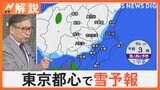 週末~週明け 東京都心で雪のおそれ、うっすら積もる可能性も【Nスタ解説】|TBS NEWS DIG