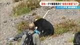 クマ被害 観光名所で9人が重軽傷を負ったことも… エサの“ドングリ不作”でクマ出没に警戒を 「どこで遭遇して被害に遭うか分からない」|TBS NEWS DIG