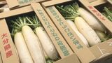 大分市公設地方卸売市場で初競り 青果は4割ほど高値に 冬物野菜の入荷量が2割以上減少 | 大分のニュース|OBS NEWS|大分放送