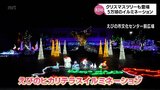「光が織りなす絵本の世界」をテーマ えびの市で約5万球のイルミネーションが冬の景色を彩る | MRTニュース | MRT宮崎放送