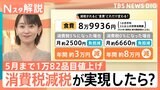 5月までの食品値上げ1万82品目、今後の物価予想「上昇する」9割超… 消費税の減税 実現の見通しは？【Nスタ解説】|TBS NEWS DIG