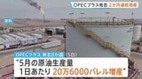 「供給全体の安定性に影響」OPECプラス有志8か国　5月も原油生産量20.6万バレル増産　エネルギー施設攻撃に懸念|TBS NEWS DIG