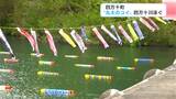 「幸せな気分になります」四万十川を泳ぐ“丸太のコイ”と空を泳ぐ“こいのぼり” 『沈下橋』とも共演 | 高知のニュース・天気|KUTV NEWS | KUTVテレビ高知