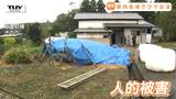 心配される人的被害...連日県内各地でクマの出没が相次ぐ 市街地・堤防・高速道路などで... 県は「クマ出没警報」を2度延長(山形)|TBS NEWS DIG