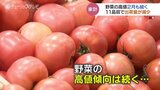 野菜の高値 2月も…キャベツは落ち着き見せるも依然高値 11品目の指定野菜は入荷量平年下回る 富山|TBS NEWS DIG